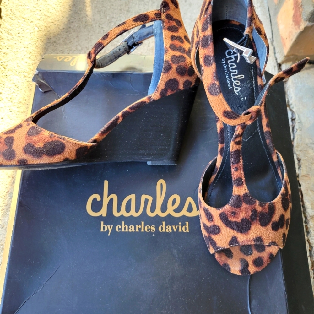 Charles David Wedge Sandal